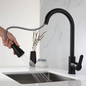 DR-02002 Grifo Para Lavaplatos Extraible De Lujo NEGRO o PLATEADO